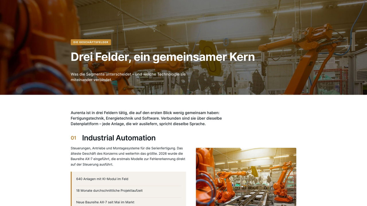 Vorschau: Die Geschäftsfelder