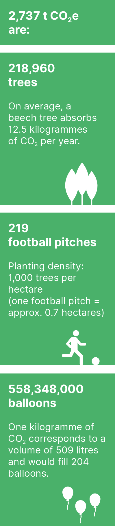trees_footsball_balloons