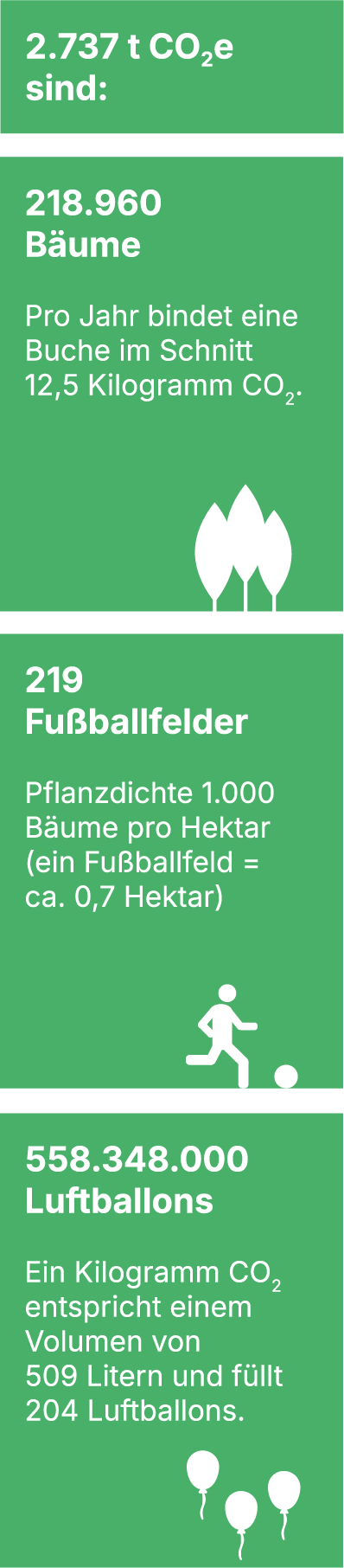 Baeume_Fusballfelder_Luftballons