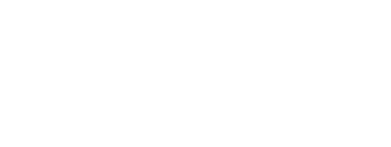 NEUDriveLogo_Zeichenfläche 1 Kopie 3