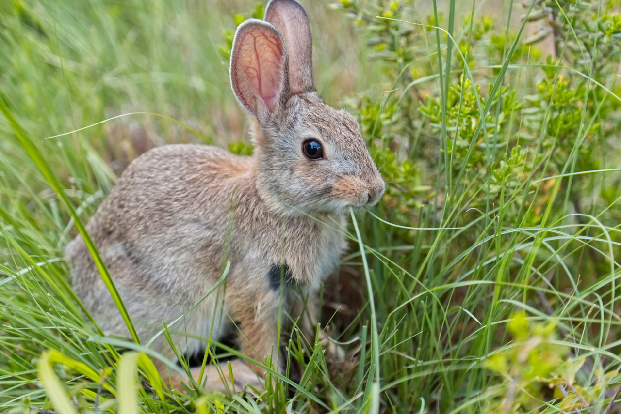 ostern-eB9BOYGSbQY-unsplash