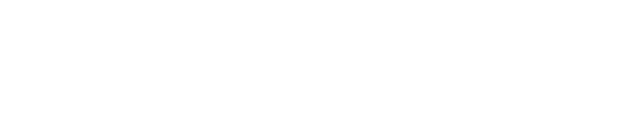 IGEPA-group_Logo_weiß