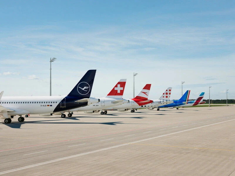 fliegen
