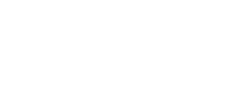 Logo_WGG_weiß-reduziert