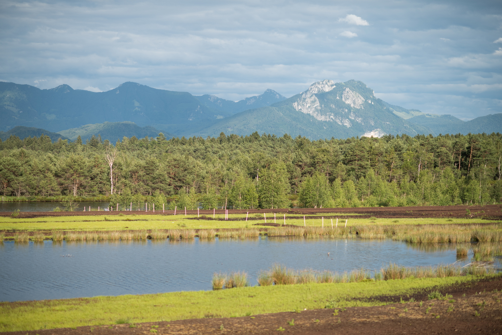 aibkur-sommer-2021-2-3875