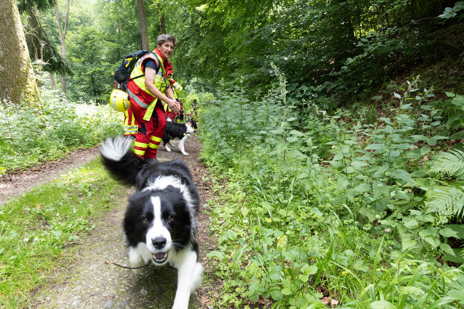 10_Bundesübung2025_Hessenschanze-0116_c-ASB-Bechtloff