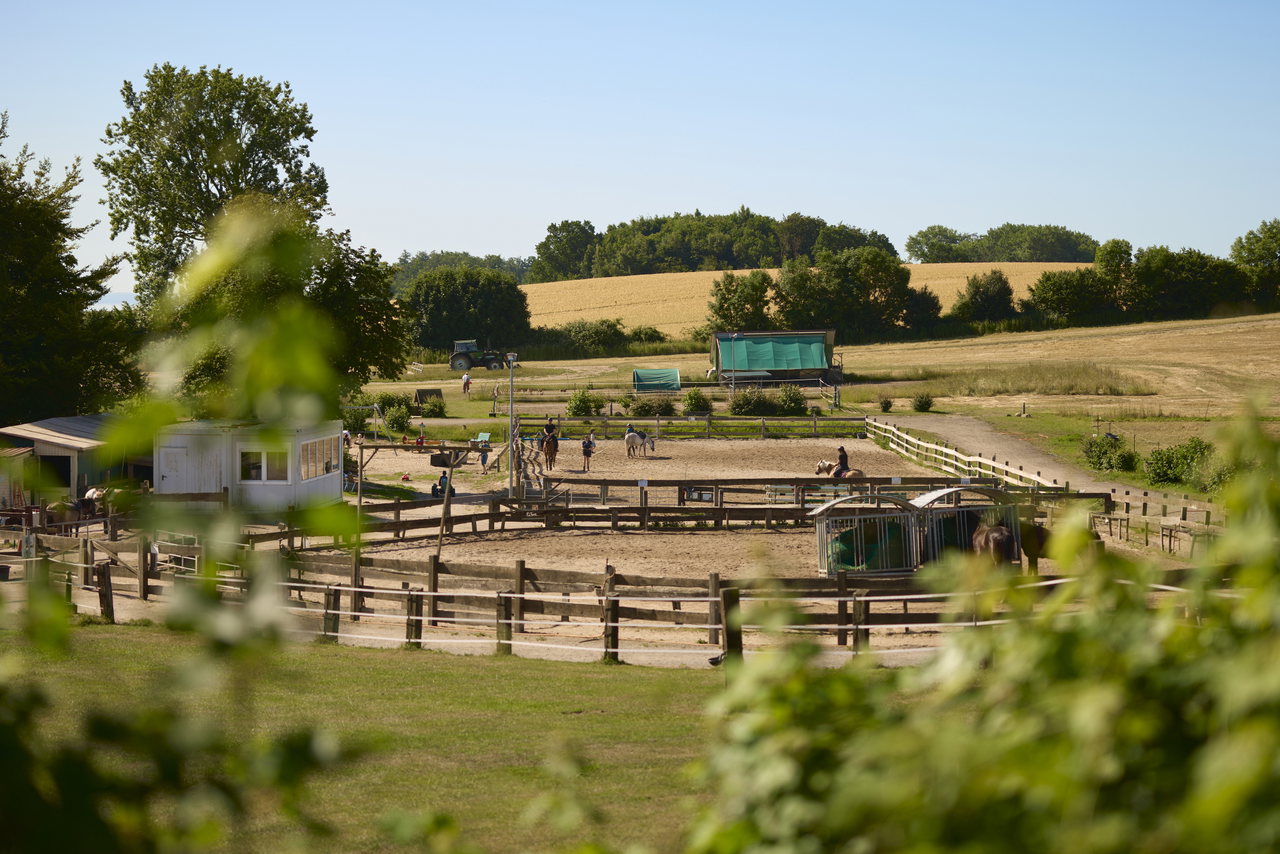Blick über Koppeln, Weiden und Felder des Urlaubsbauernhofs an der Ostsee