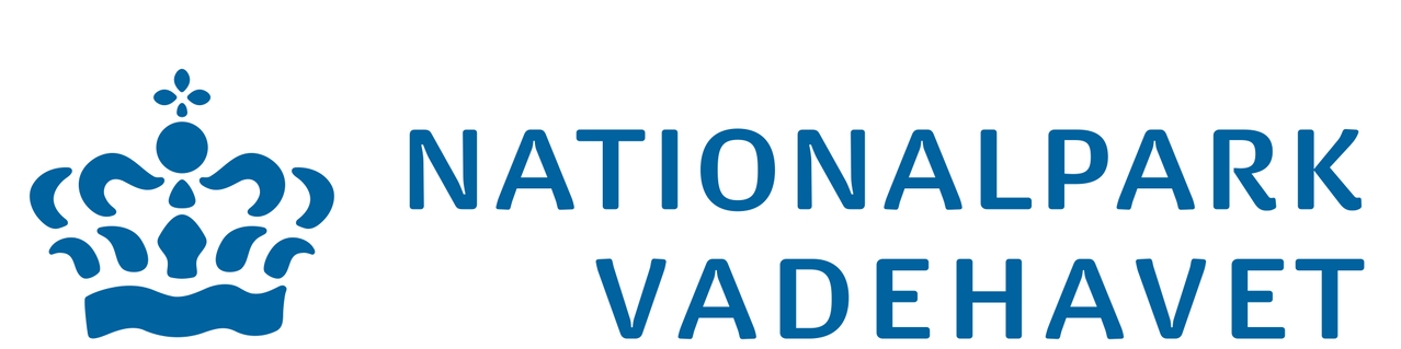 npv_dk.png