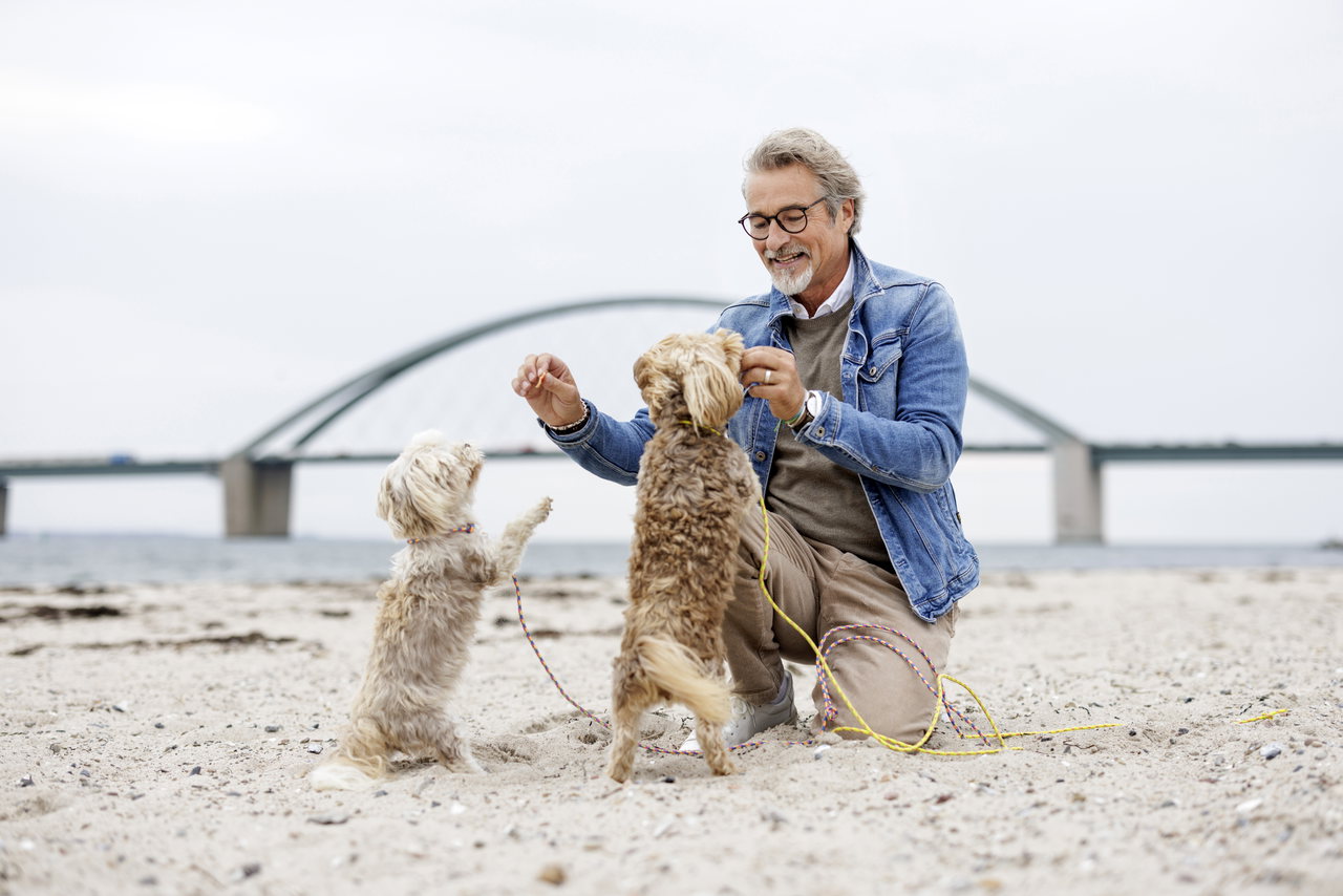 Urlaub_mit_Hund_Strand_Thies_Raetzke (178)