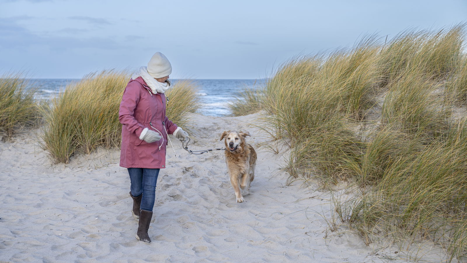 Urlaub mit Hund in Heiligenhafen - Oliver Franke_3