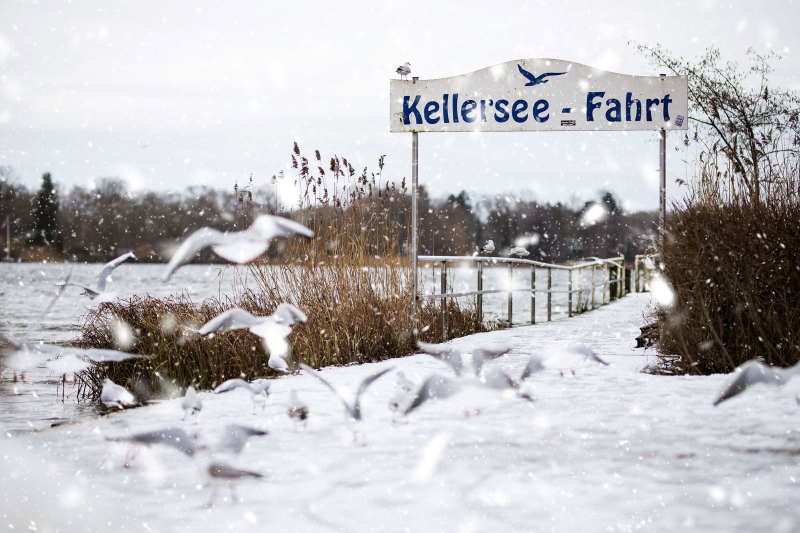 Winter in Malente © MaTS GmbH Anne Weise