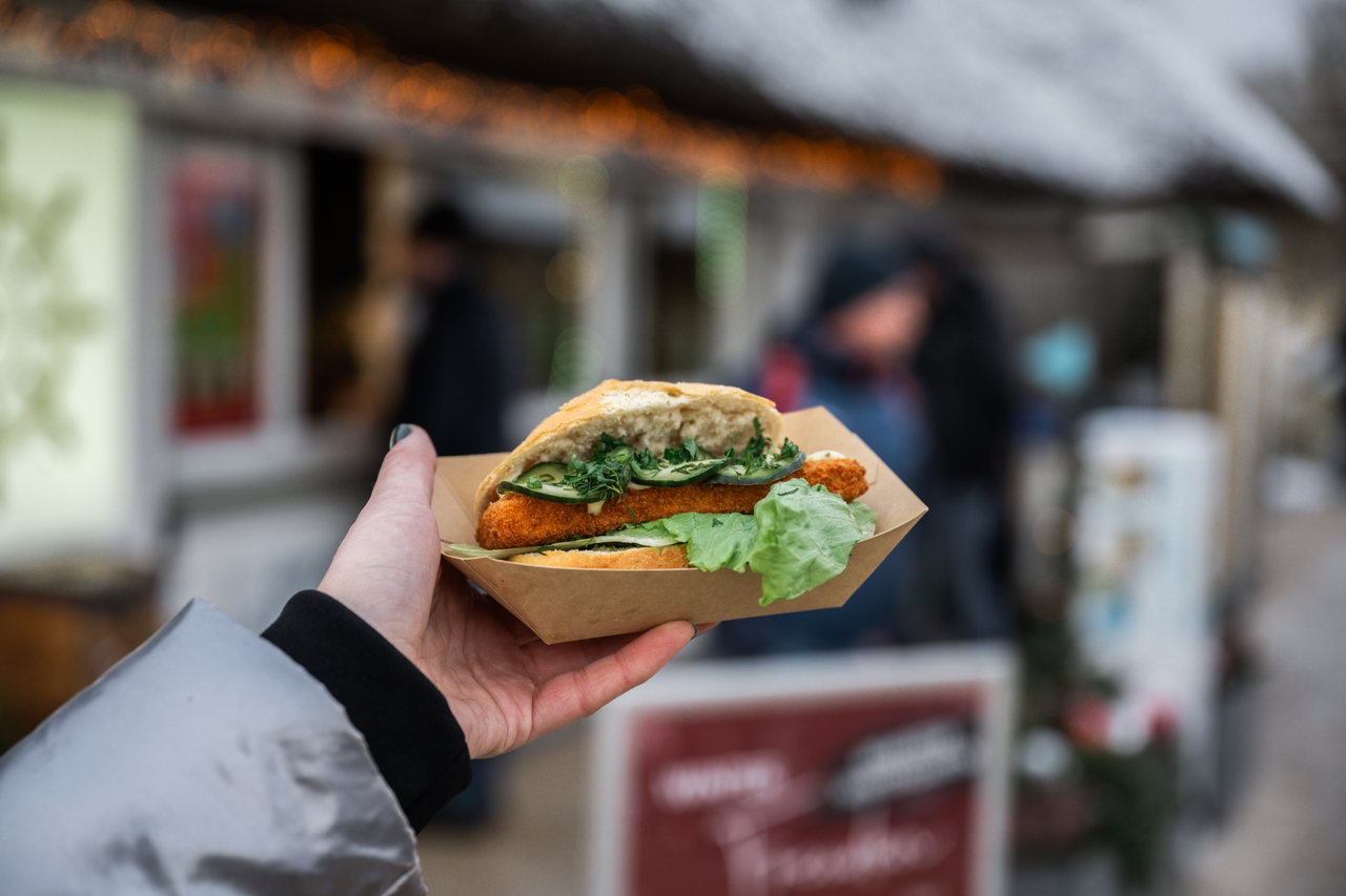 Fisch Fischbrötchen Stranddüne (1)
