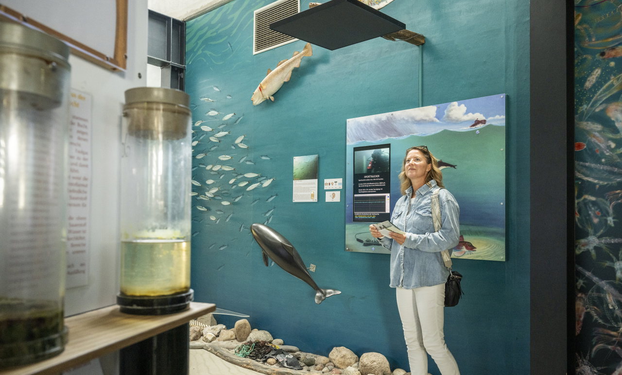 Entdeckungstour im Ostsee-Info-Center: Ausflug in Eckernförde