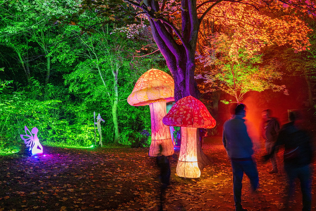 Lichtermeer im Kurpark in Laboe