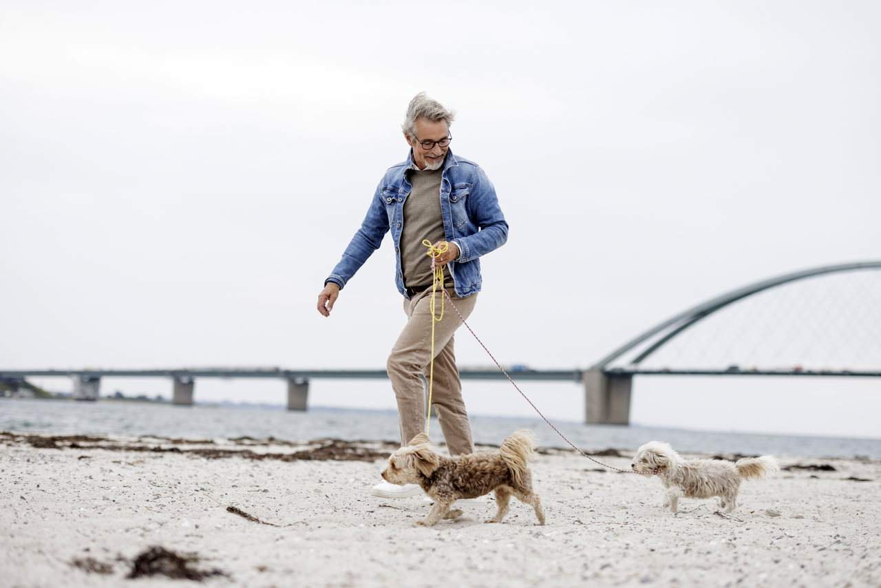 Urlaub_mit_Hund_Strand_Thies_Raetzke (184)