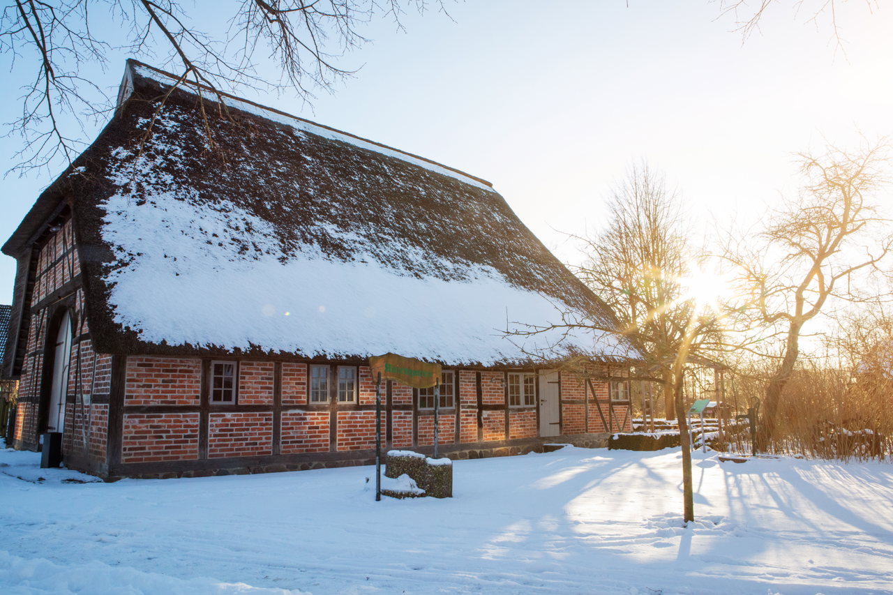 Bosau Winter