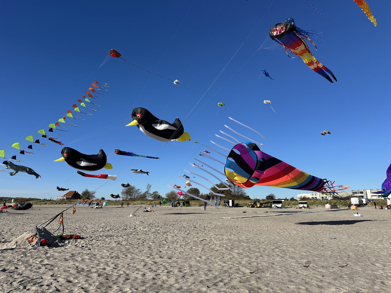 Drachenfest_Fehmarn_Tourismus-Service Fehmarn