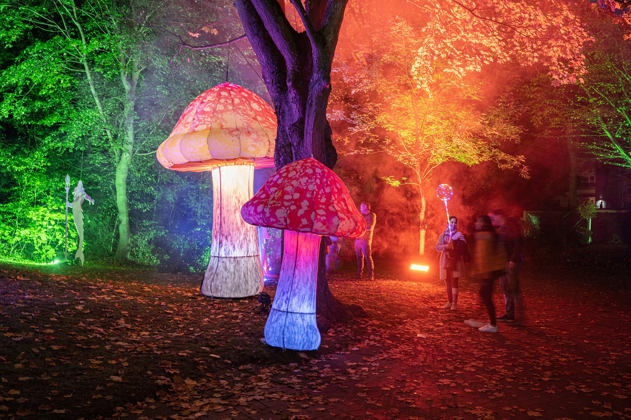 Lichtermeer im Kurpark in Laboe_4