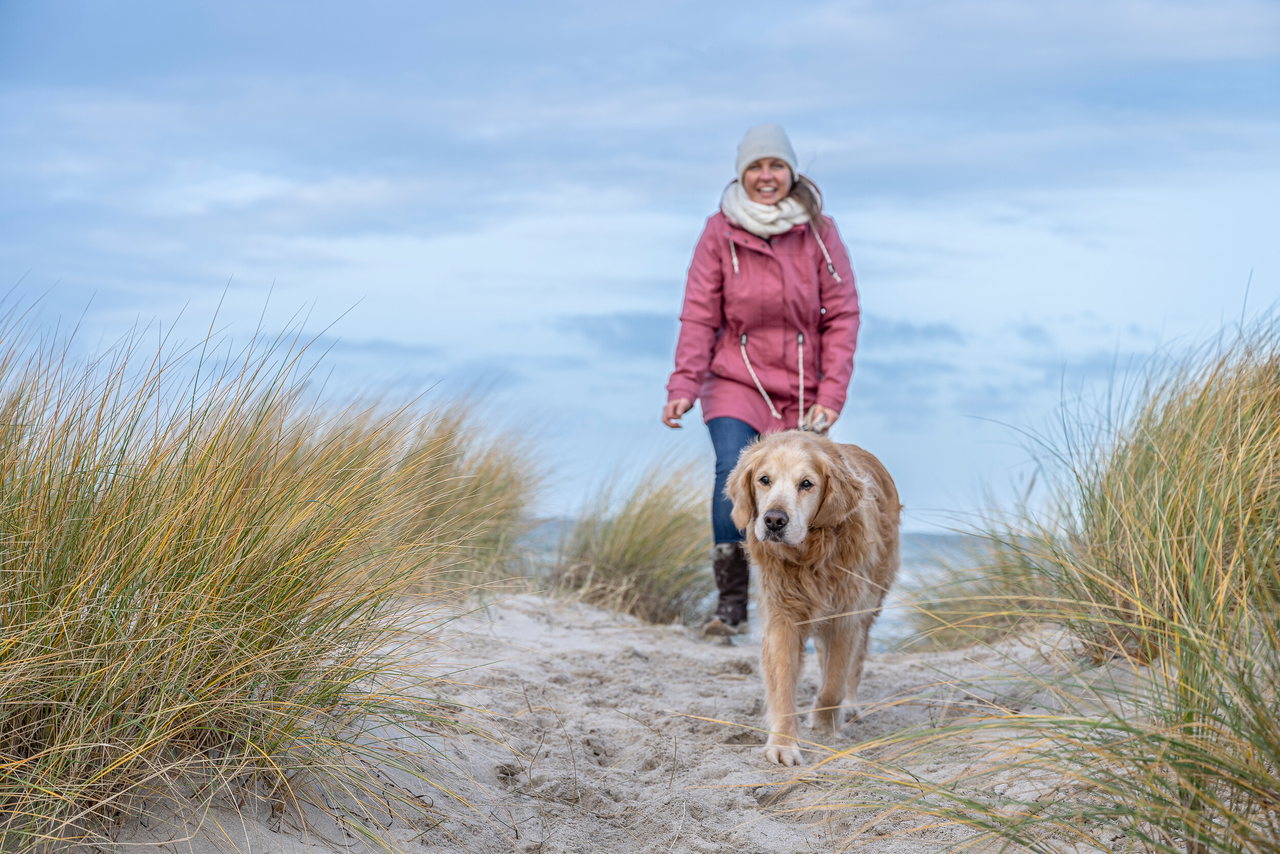 Kachel 4 – Urlaub mit Hund in Heiligenhafen_1