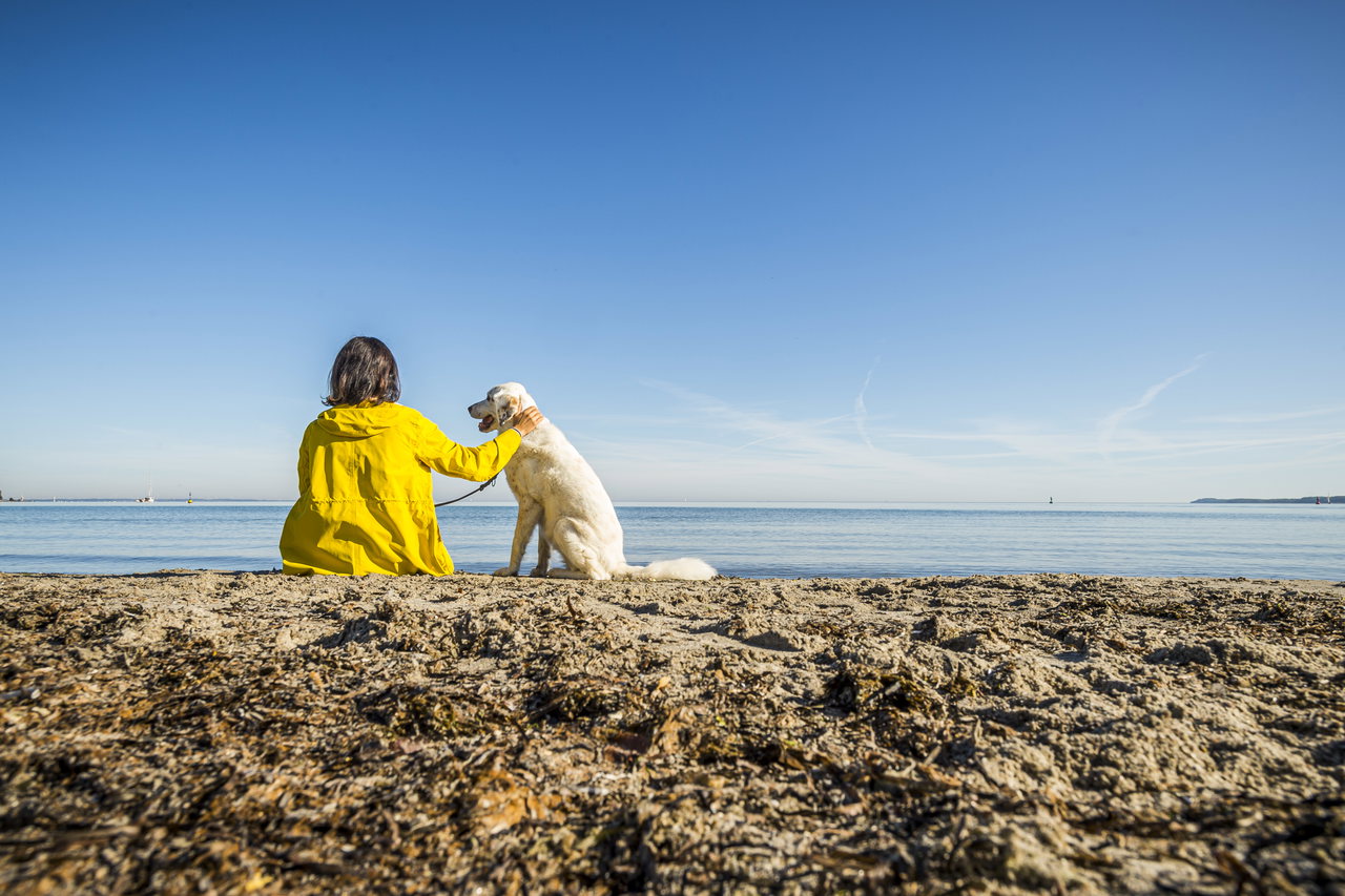 Hunde Travemünde – Frau mit Hund am Strand (3) © LTM