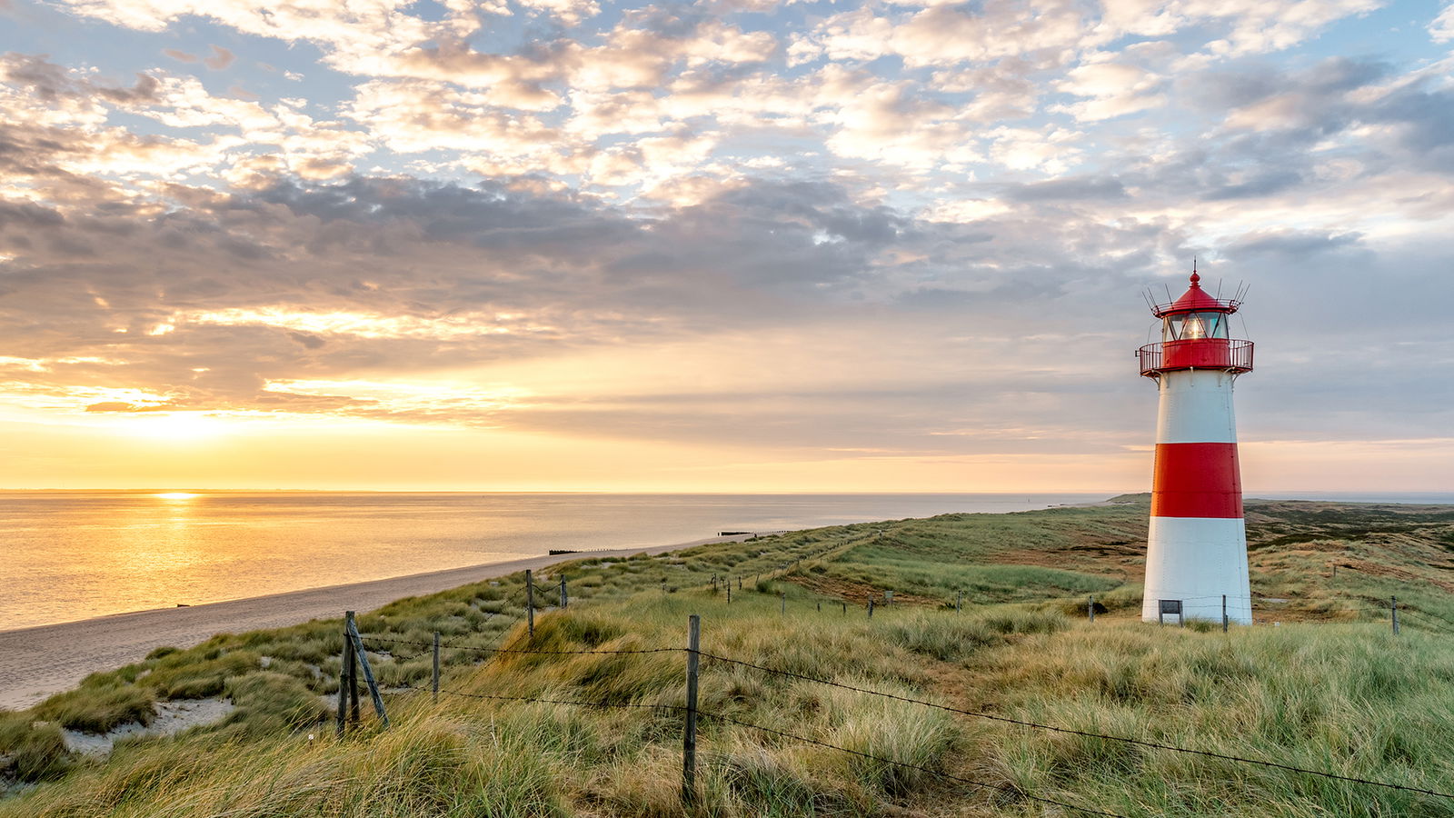 shz_Vermarkt-Digi-Magazin_Trauerportal_01_2507