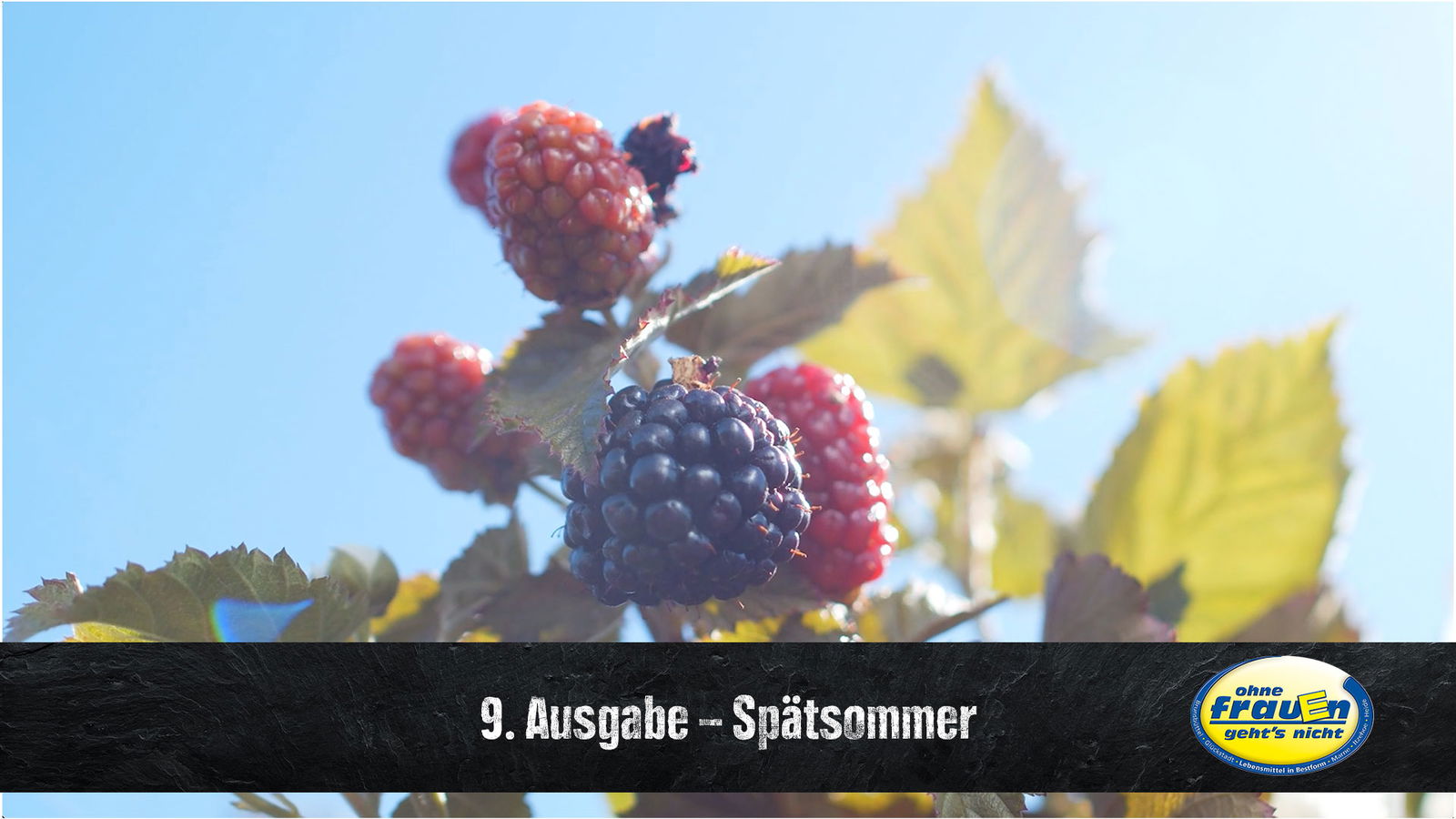 EDEKA-Frauen_Digimag_Ausgabe10_Advent_Ausgaben_9_2511