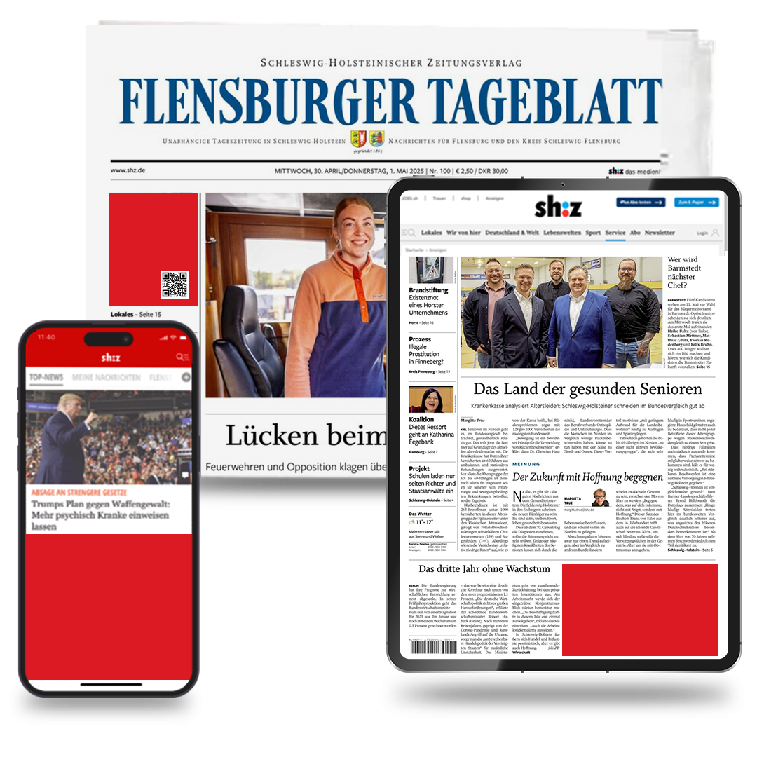 SHZ_Vermarkt-Digi-Magazin_Printonline_Medien_2509