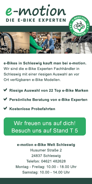 Display_Ad_300x600_e-motion