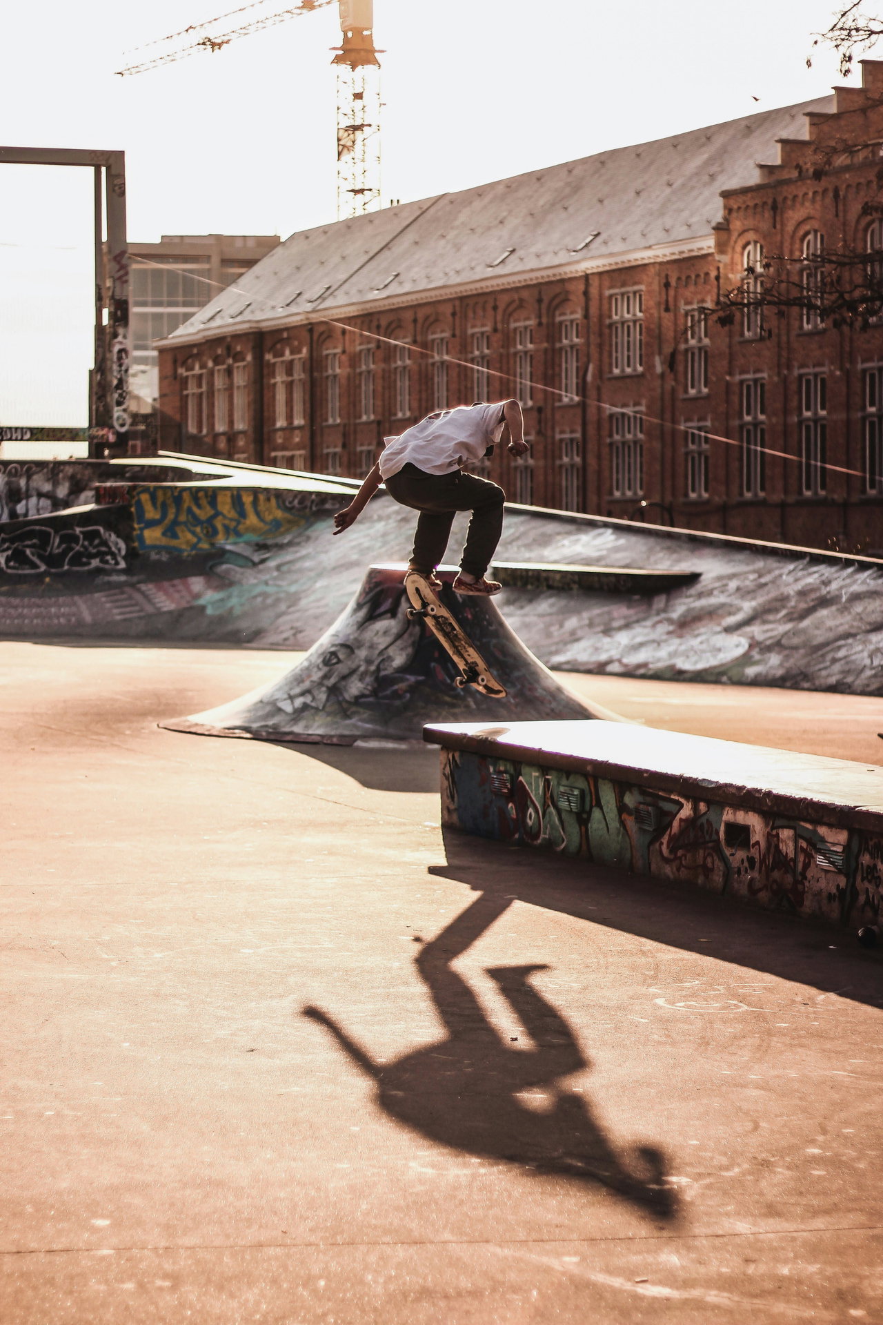 Ein Skater springt über eine Rampe in einem Skatepark, sein Schatten fällt auf den Beton