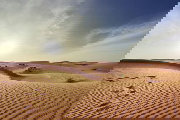 green forrest-12IHVEFRacQ-unsplash