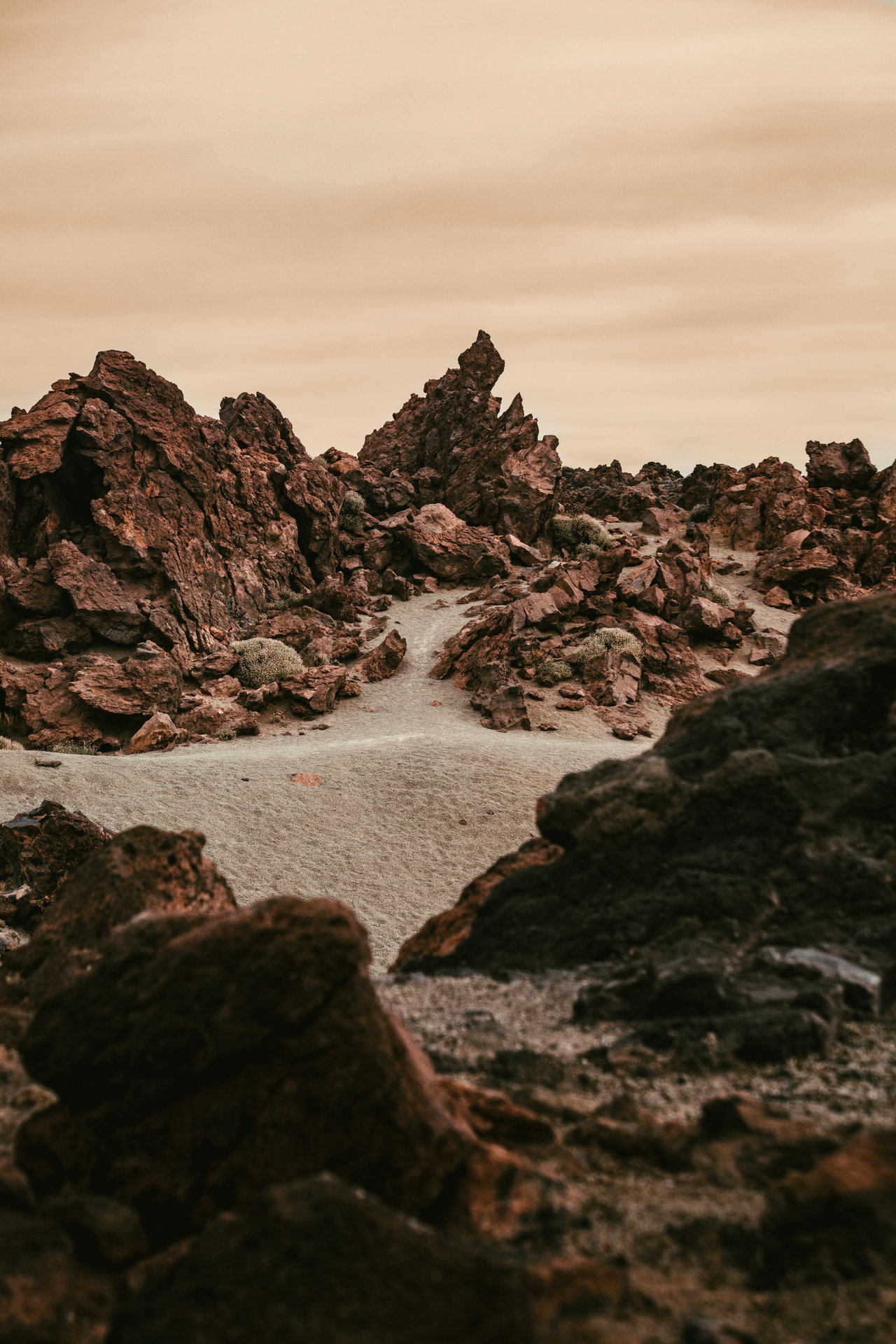 mars-LudQVYgJIig-unsplash