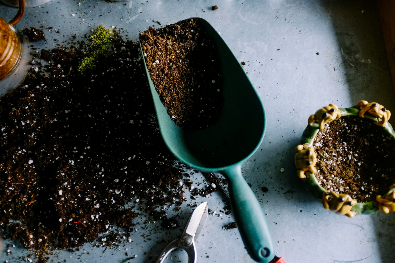 gardening-BduDcrySLKM-unsplash