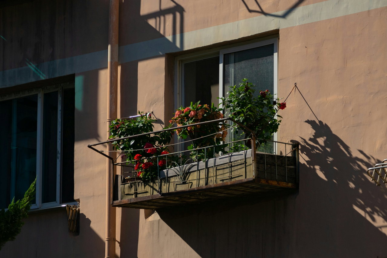 balkony garden-WPRG873bhYM-unsplash