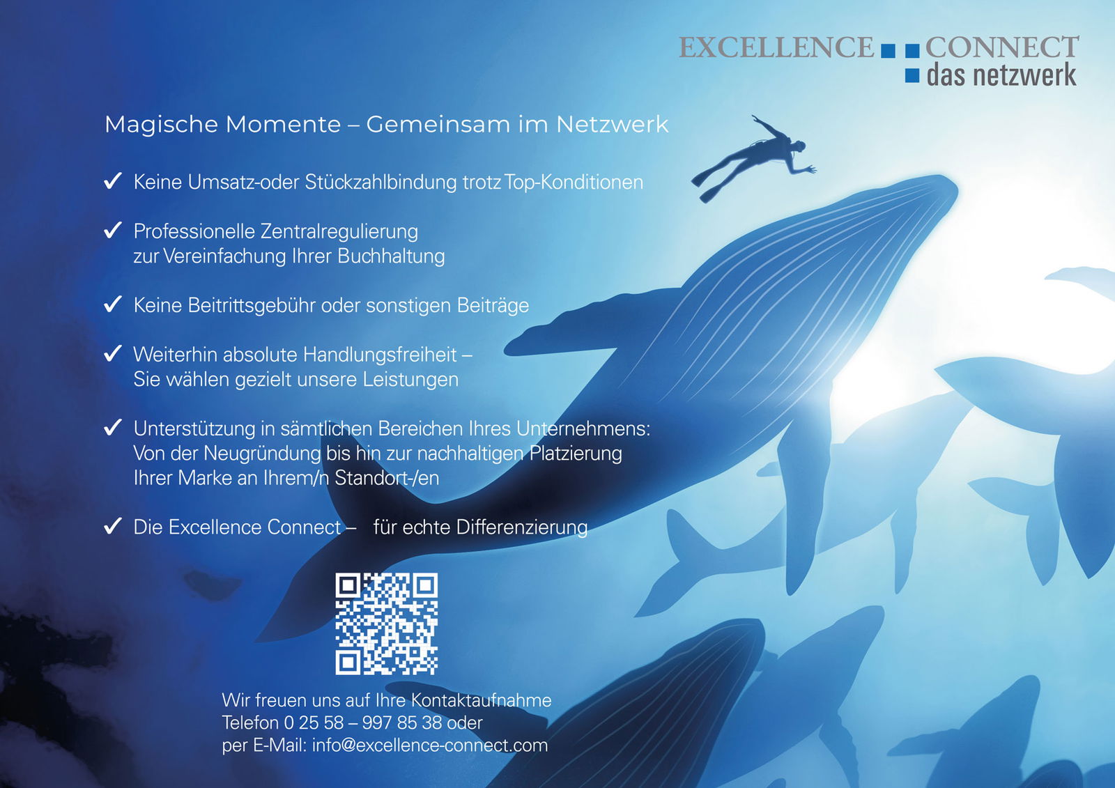 Excellence-Anzeige-Februar-2026