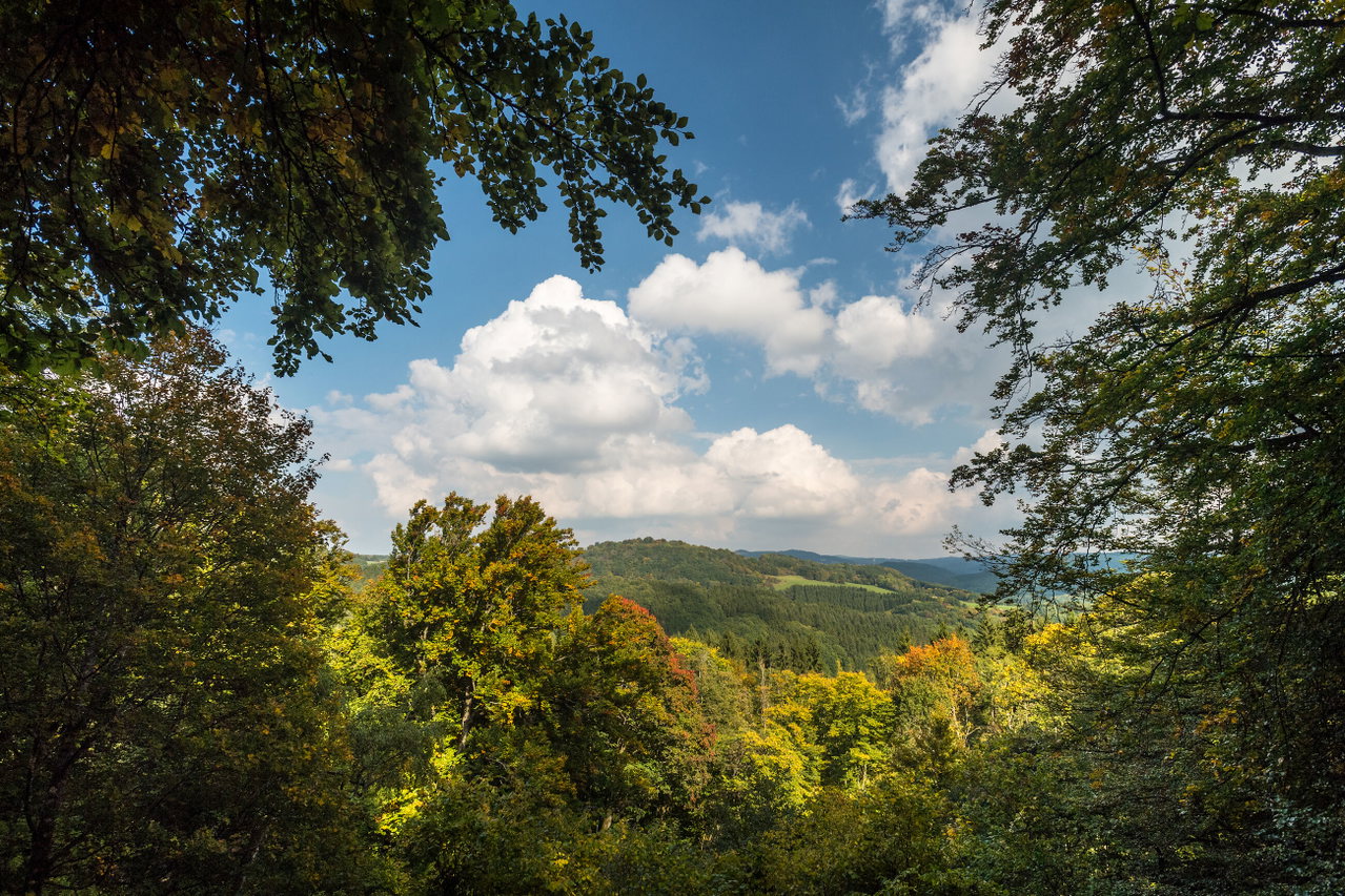 Schneifel-Pfad bei Birresborn