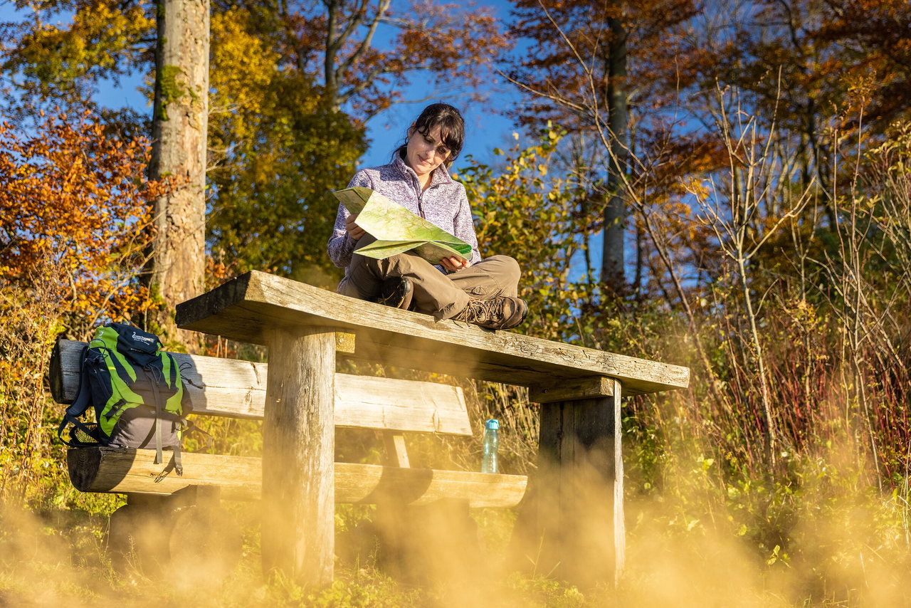 Entspannt auf einer Bank im herbstlichen Wald ein Buch lesen