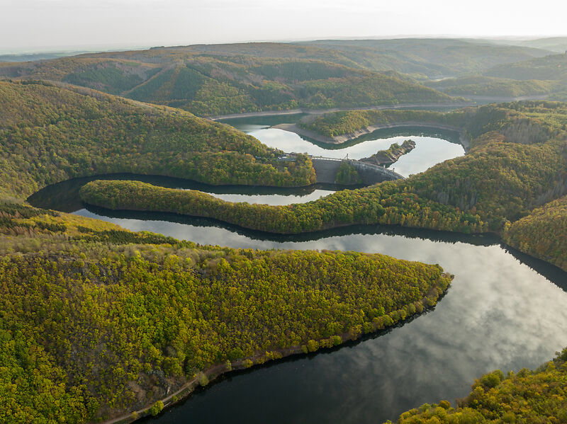 Wandern im Nationalpark Eifel
