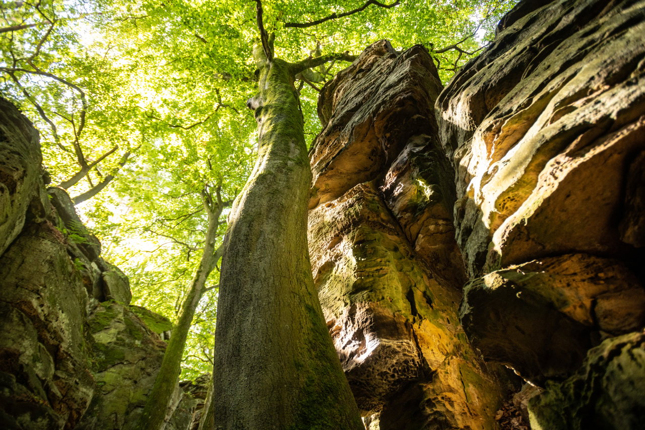 ET-2018-Naturpark_Deluxe-274-Felsenweg3_Mandrack_Passage__Eifel_Tourismus_GmbH_Dominik_Ketz
