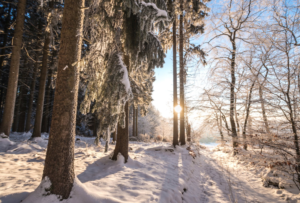 16350 Winterlandschaft Eifel © Rheinland-Pfalz Tourismus GmbH, D. Ketz