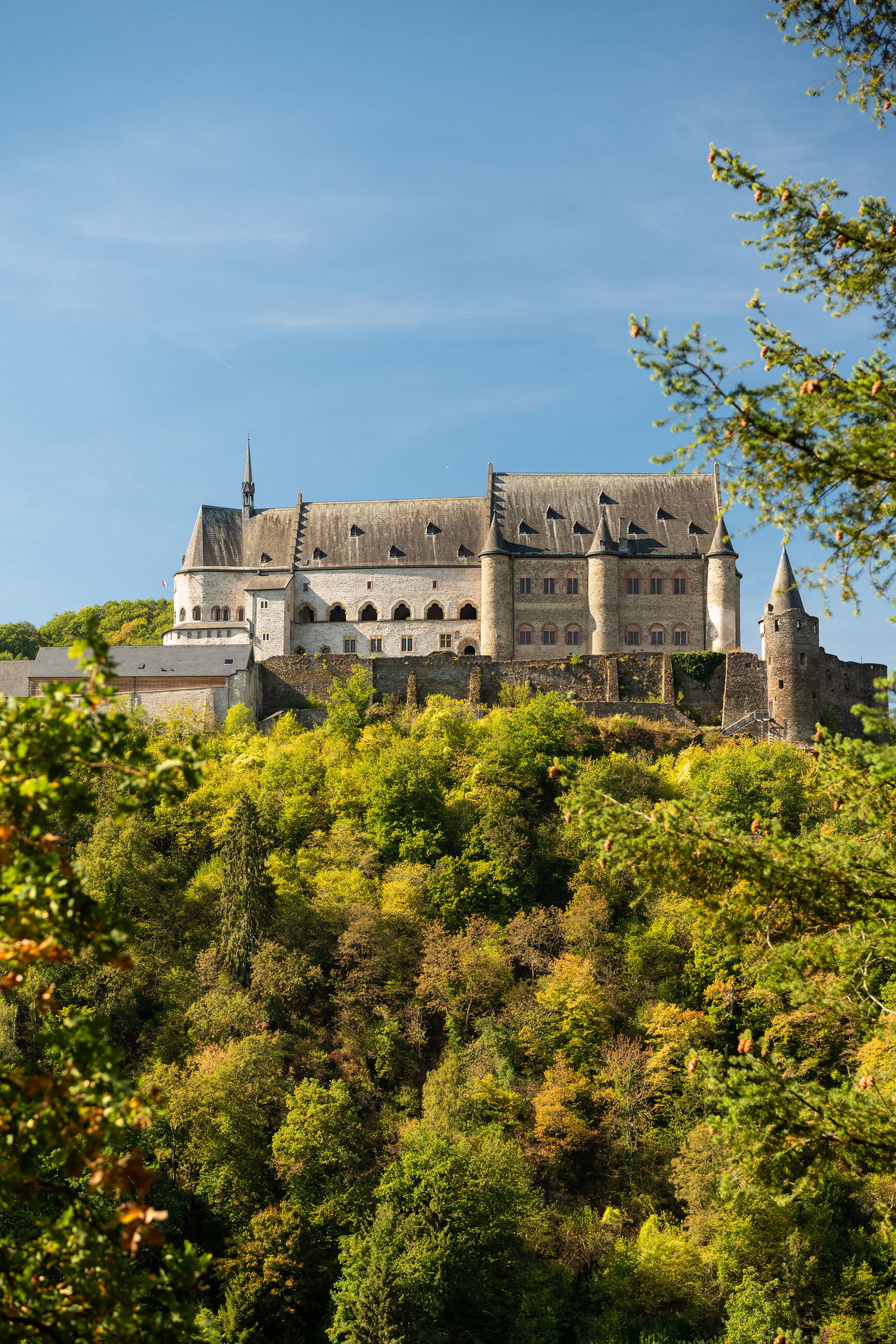 Burg Vianden erhebt sich über einem dicht bewaldeten Hügel, umrahmt von herbstlich leuchtendem Grün und dem klaren blauen Himmel. Die historischen Mauern, Türme und steilen Dächer wirken eindrucksvoll über der Landschaft.