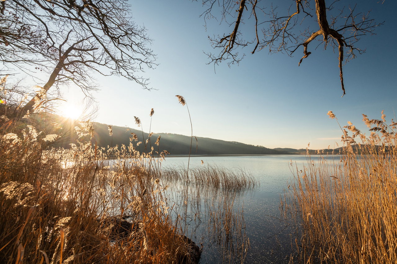 Blick auf den Laacher See