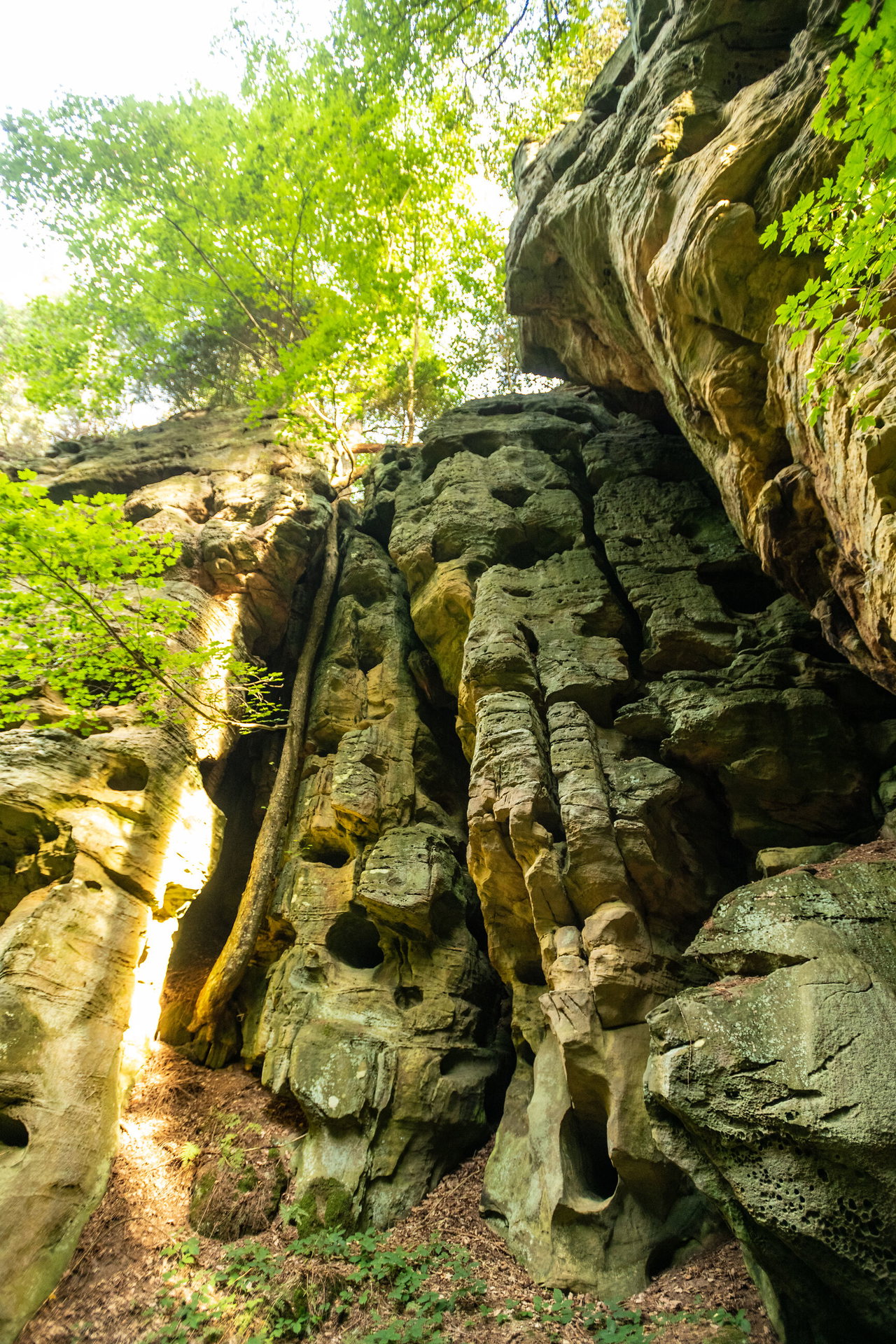 Beeindruckende Sandsteinfelsen ragen in einem grünen Wald steil empor, dazwischen fallen Sonnenstrahlen auf moosige und zerklüftete Felswände. Das Naturmotiv vermittelt eine wilde, felsige Wanderlandschaft.