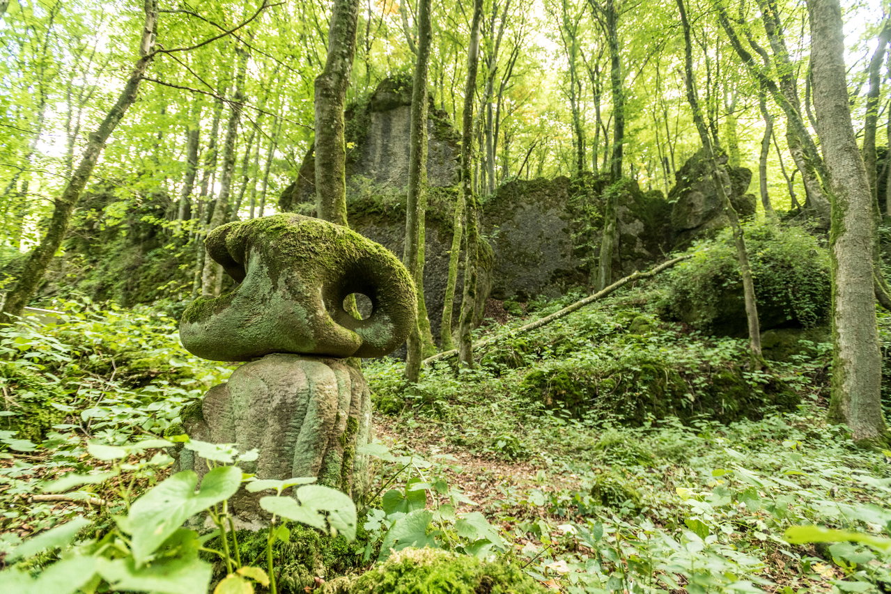 Schneifel-Pfad, Am Walbert