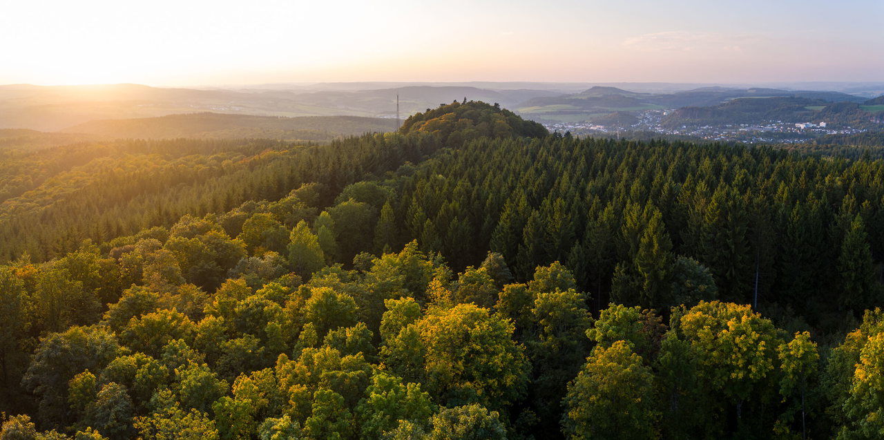 Gerolsteiner Keltenpfad, Dietzenley (1)