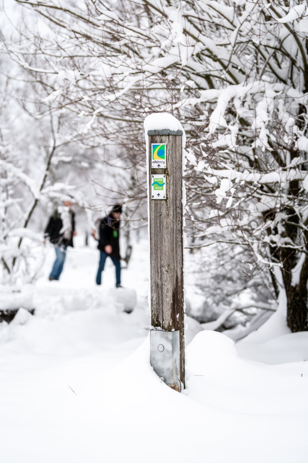 Wegemarkierung im Schnee