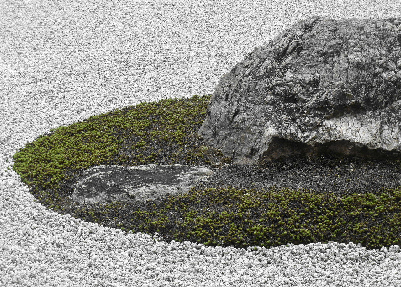 rock garden-VcQKyzRecmM-unsplash