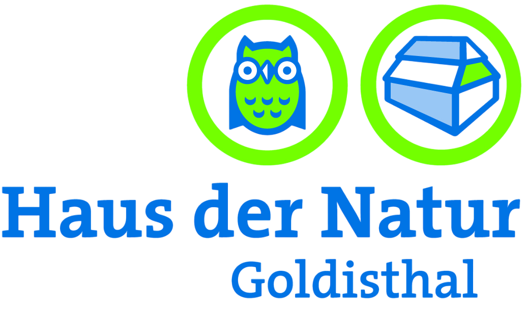 Haus-der-Natur-Logo-Ganz ohne Hintergrund
