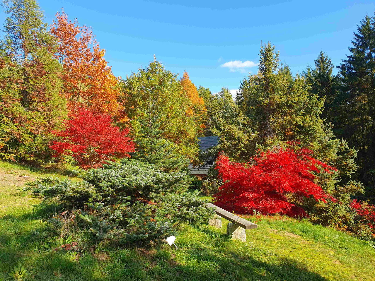 Herbst