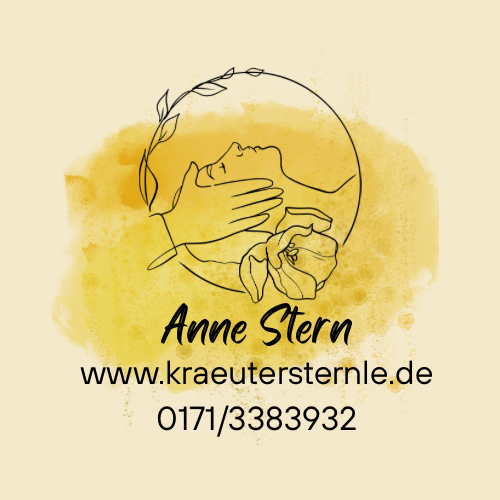 Logo Anne Stern NEU