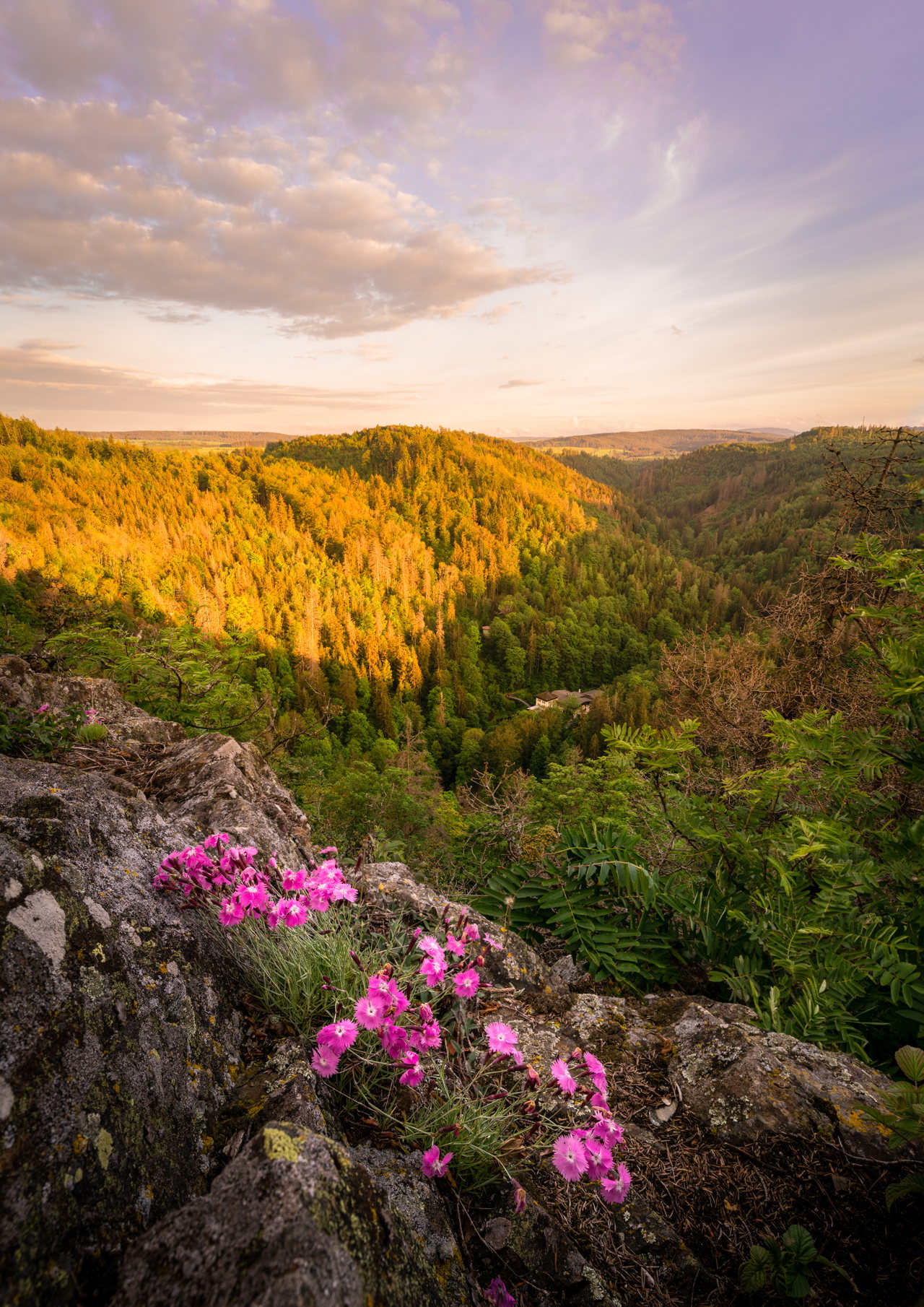 Hoellental_Aussicht Bildrechte Andreas Köppel & Naturpark Frankenwald